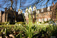 Commission: York St John University